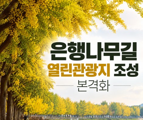아산 은행나무길 열린관광지 조성 본격화…장애인 이용환경 개선